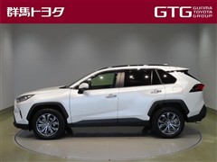 RAV4 G