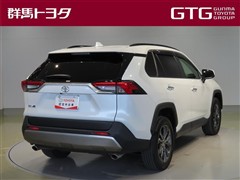 RAV4 G
