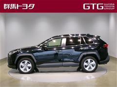 RAV4 ハイブリッドG