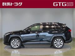 RAV4 G Zパッケージ