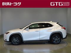 UX250h バージョンC
