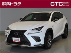 NX300h Fスポーツ