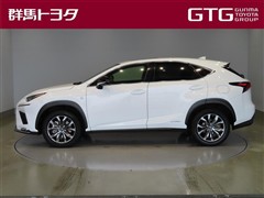 NX300h Fスポーツ