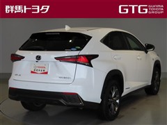 NX300h Fスポーツ