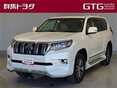 ランドクルーザープラド TZ-G