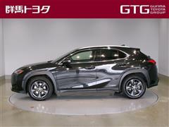 UX250h バージョンC