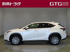 NX300h Iパッケージ