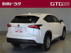 NX300h Iパッケージ