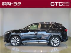 RAV4 G Zパッケージ