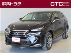 NX300h バージョンL