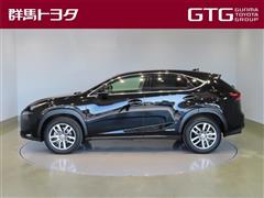 NX300h バージョンL