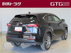 NX300h バージョンL