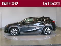 UX250h Fスポーツ