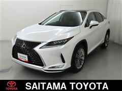 RX300 Ver-L