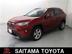 RAV4 HV G