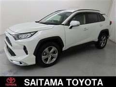 RAV4 G