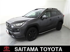 RAV4 アドベンチャー オフロート