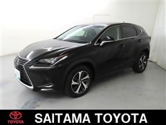 NX300 Iパッケージ