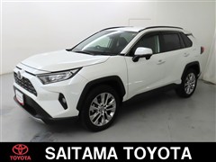 RAV4 G Zパッケージ