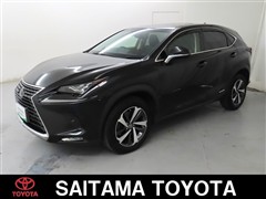 レクサス NX300h I-PKG