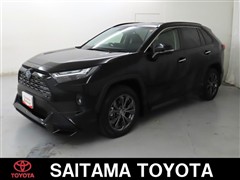 RAV4 HV G