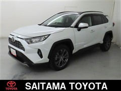 RAV4 G