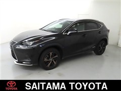 NX300h スパイス&シック