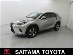 レクサス NX300h I-PKG