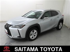 UX250h ヒョウジュンシャ