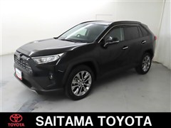 RAV4 G Zパッケージ