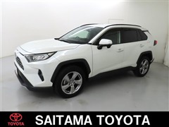 RAV4 G