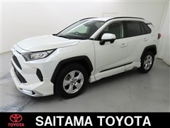 RAV4 X