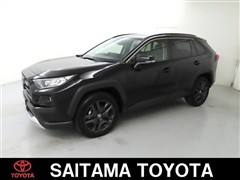 RAV4 アドベンチャ-