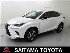 レクサス NX300 スパイス&シック