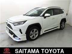 RAV4 HV G
