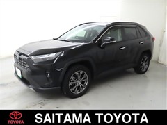 RAV4 HV G