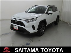 RAV4 X