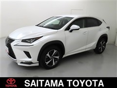 NX300 Iパッケージ