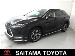 RX300 Ver-L