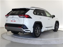 RAV4 G