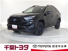 ＲＡＶ４