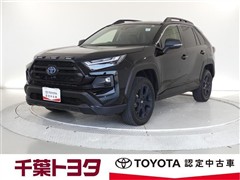 ＲＡＶ４
