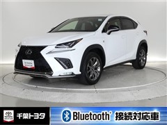 NX300 Fスポーツ