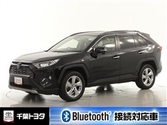 RAV4 G