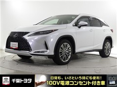 RX300 バージョンL