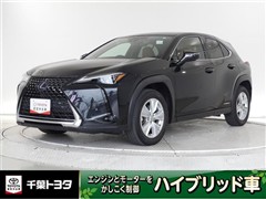 UX250h バージョンC