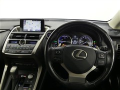 NX300h Iパッケージ