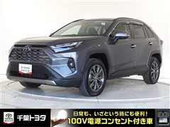 RAV4 HEV G