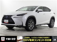 NX300h Iパッケ-ジ