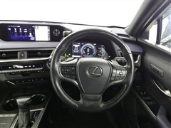 UX250h アーバンエレガンス